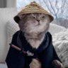 Cรฉsar's profile picture