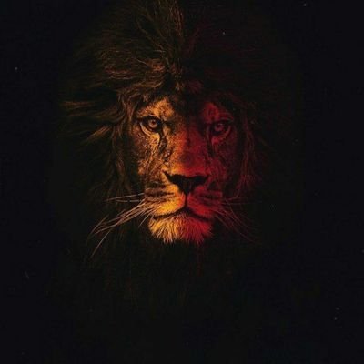 Frank 🀄's profile picture