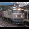 クモハ489-901's profile picture