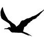 LEGACY Publishing's profile picture