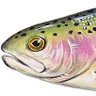Autistic Trout 的头像