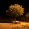 Фото профиля #59C9DA