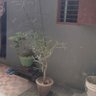 Tvt_Chennai's profile picture