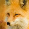 vigho's profile picture