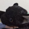 月るぅ 的头像