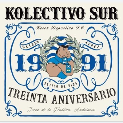 KolectivoSur91's profile picture