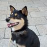 じぇりぱん profil fotoğrafı