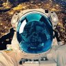 Gr🚀g N🛰️ck 的头像