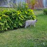 Fren* profil fotoğrafı