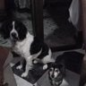 Profilbild von Maria_67