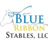 Blue Ribbon Stables, LLC's profile picture