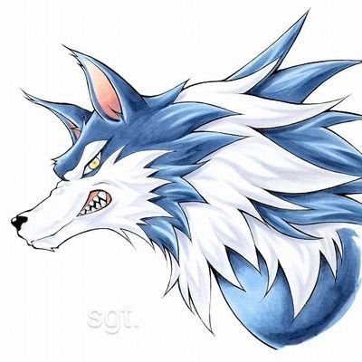 koz_sun's profile picture