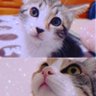 と〜も's profile picture