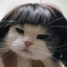 kiya's profile picture