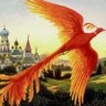 Solon de Tremoine's profile picture