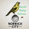 North Wales Yellows profil fotoğrafı