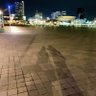 ぱるむ's profile picture