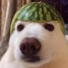 jao's profile picture