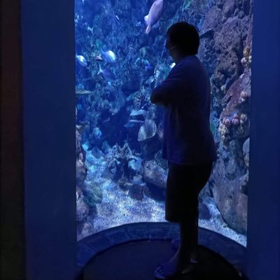 a0954115429's profile picture
