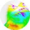 Casimir Level profil fotoğrafı