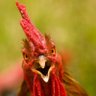 Przemek's profile picture
