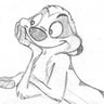Profilbild von Javier