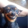 só trago verdades's profile picture