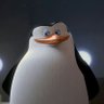 Skipper🐧 profil fotoğrafı