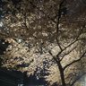 ボン's profile picture