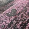 Фото профиля Unknown