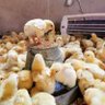 Apollo profil fotoğrafı
