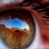 Tagreed ALnasruoy profil fotoğrafı