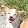 Profilbild von Sean