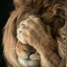 Maggy Gonzalez's profile picture
