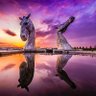 Фото профиля Jacob IT