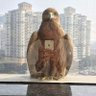 Shrirang's profile picture