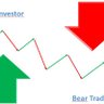 Bull/Bear Investor/Trader 的头像