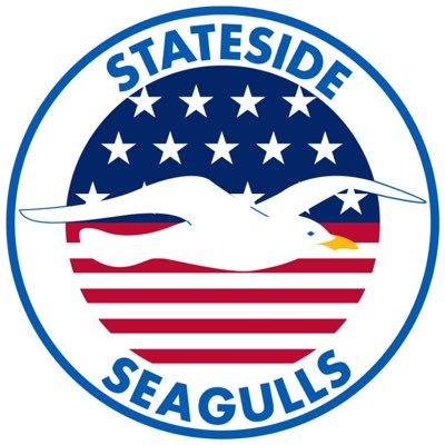 Stateside Seagulls's profile picture