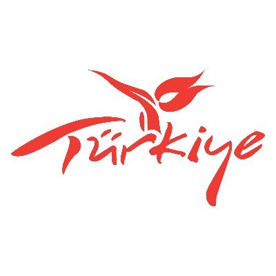 Go Türkiye's profile picture
