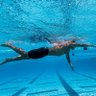 Keep swimming profil fotoğrafı