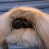 Фото профиля Fred
