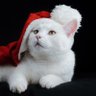 あなクリ2 profil fotoğrafı