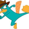 Perry o Ornitorrinco 🇧🇷🐝 profil fotoğrafı