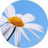 𝙰𝚘𝚘𝚖𝚖𝚢𝙿 profil fotoğrafı