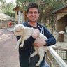 Mustafa Gkmn's profile picture