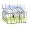 Profilbild von Illusion Freedom