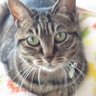 みうぱぱ profil fotoğrafı
