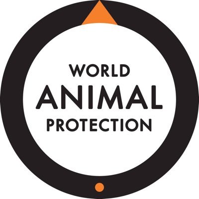 World Animal Protection's profile picture