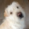 Profilbild von Jim Wies