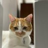 Фото профиля Simon